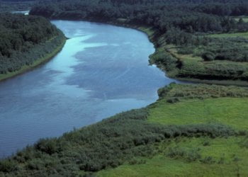Measuring river surface flow with image analysis