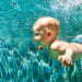 The physics behind the world’s fastest swim strokes