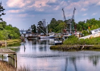 Deputies: Sneads Ferry waitress introduced faux recommendations