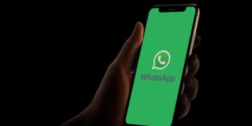 WhatsApp replace brings help for Android eight.Zero Oreo’s first-class new feature