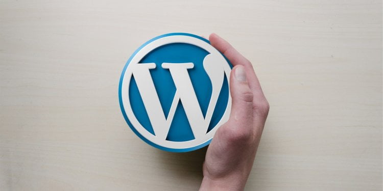 How to Maximize the WordPress Command Line Interface