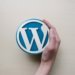 How to Maximize the WordPress Command Line Interface