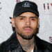 Singer Chris Brown arrested for ‘pointing gun at woman’