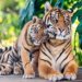 One of the World’s Oldest Tigers Has Die