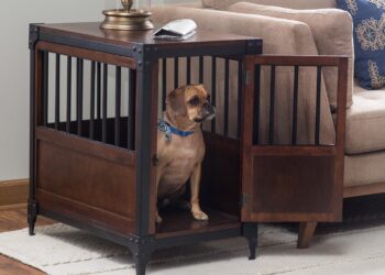 Best portable crate for dogs