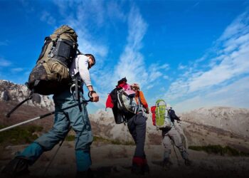 Travel N Tour – Booking Flights, Hotels, Tours, and Activities