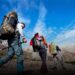 Travel N Tour – Booking Flights, Hotels, Tours, and Activities