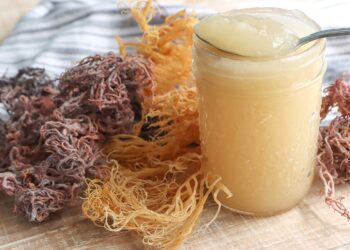 Sea Moss Benefits For Men