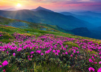 September’s Top Destination Picks: Where to Travel for the Best Autumn Experience
