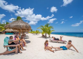 Discover Cozumel with Dolphin Discovery: A Guide to Chankanaab Park and Island Adventures