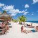 Discover Cozumel with Dolphin Discovery: A Guide to Chankanaab Park and Island Adventures